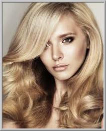 imagesCAWHTX13