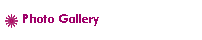 Photo Gallery